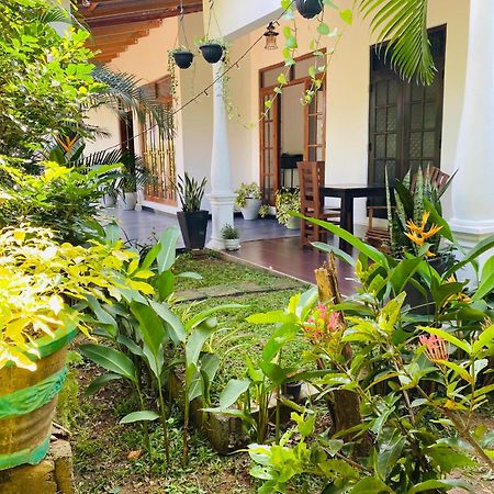 Fairview Dill Homestay Sigirija Zewnętrze zdjęcie