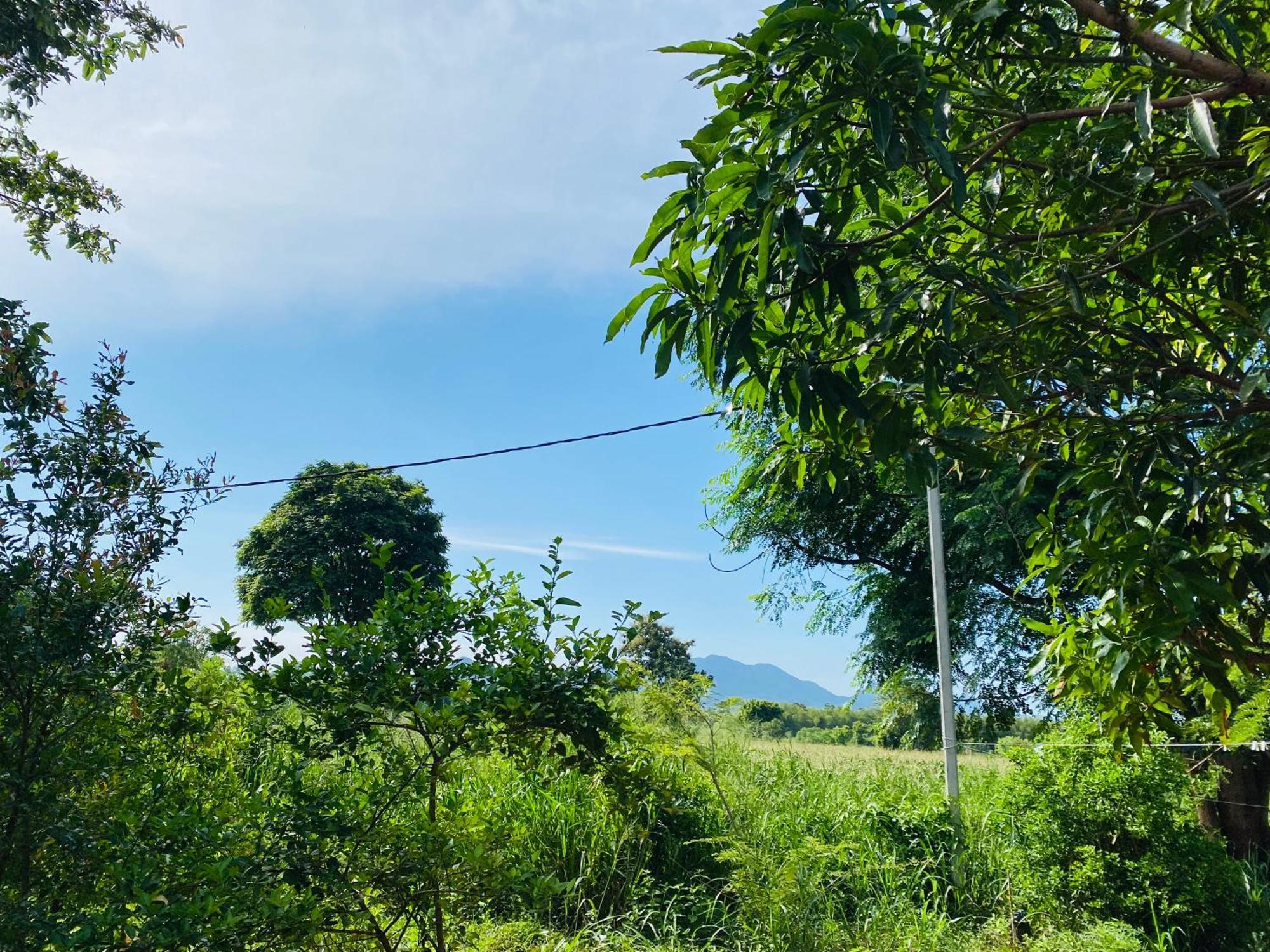 Fairview Dill Homestay Sigirija Zewnętrze zdjęcie