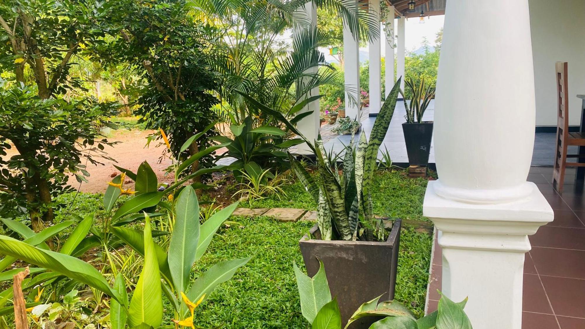 Fairview Dill Homestay Sigirija Zewnętrze zdjęcie