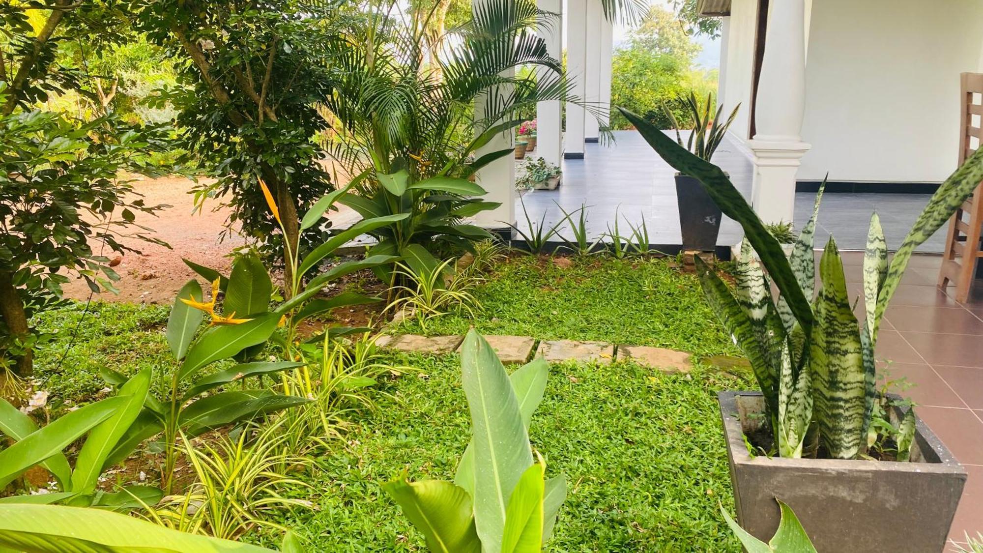Fairview Dill Homestay Sigirija Zewnętrze zdjęcie