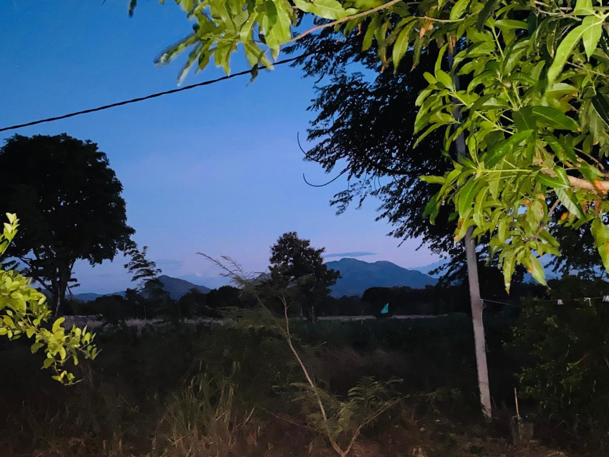 Fairview Dill Homestay Sigirija Zewnętrze zdjęcie