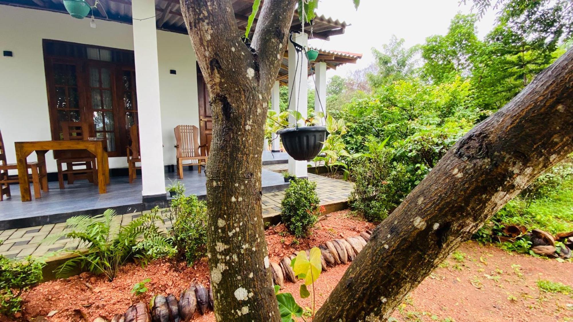 Fairview Dill Homestay Sigirija Zewnętrze zdjęcie