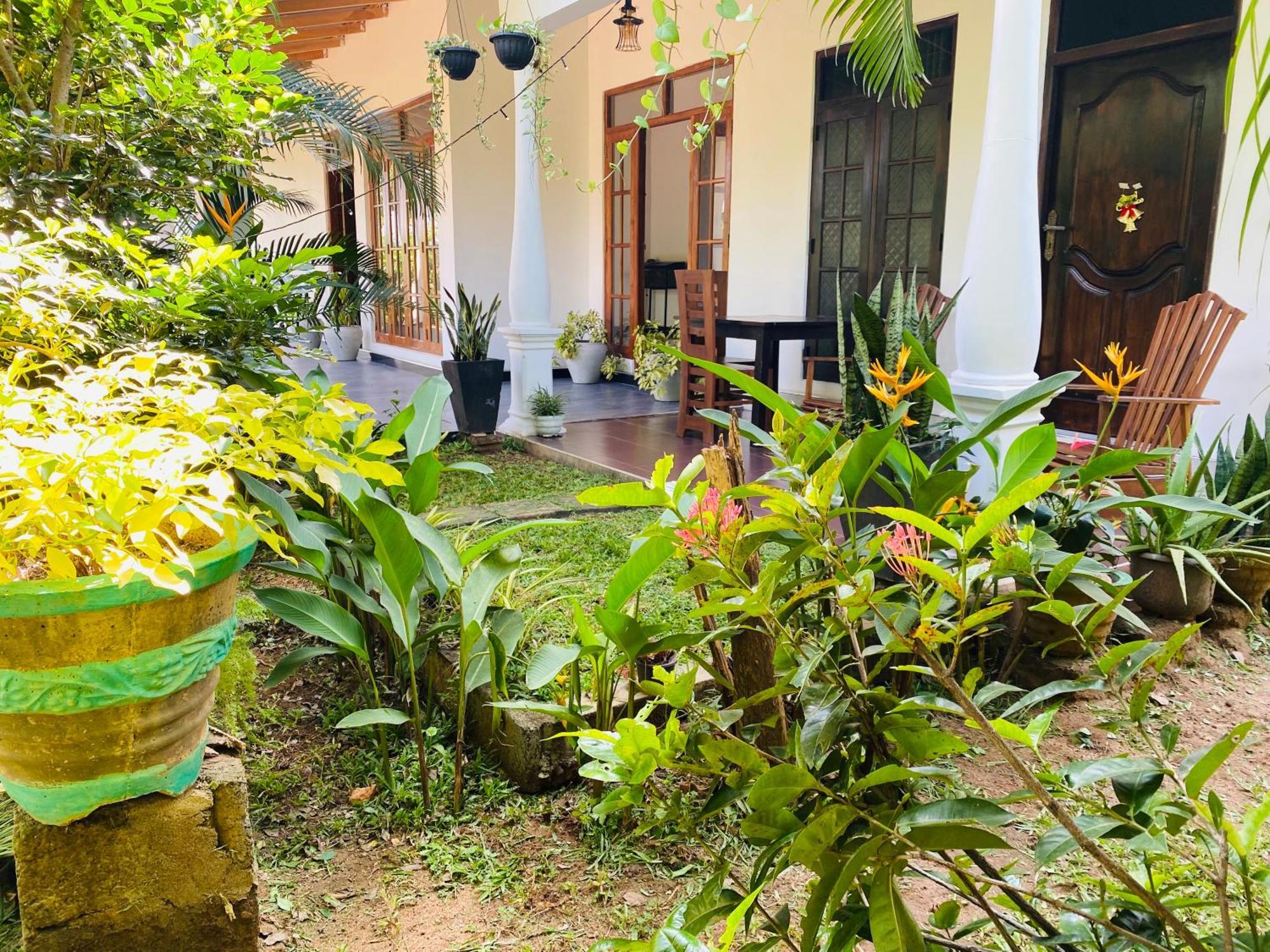 Fairview Dill Homestay Sigirija Zewnętrze zdjęcie