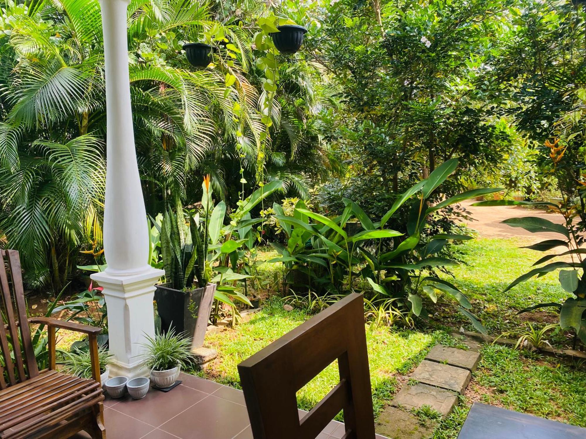 Fairview Dill Homestay Sigirija Zewnętrze zdjęcie