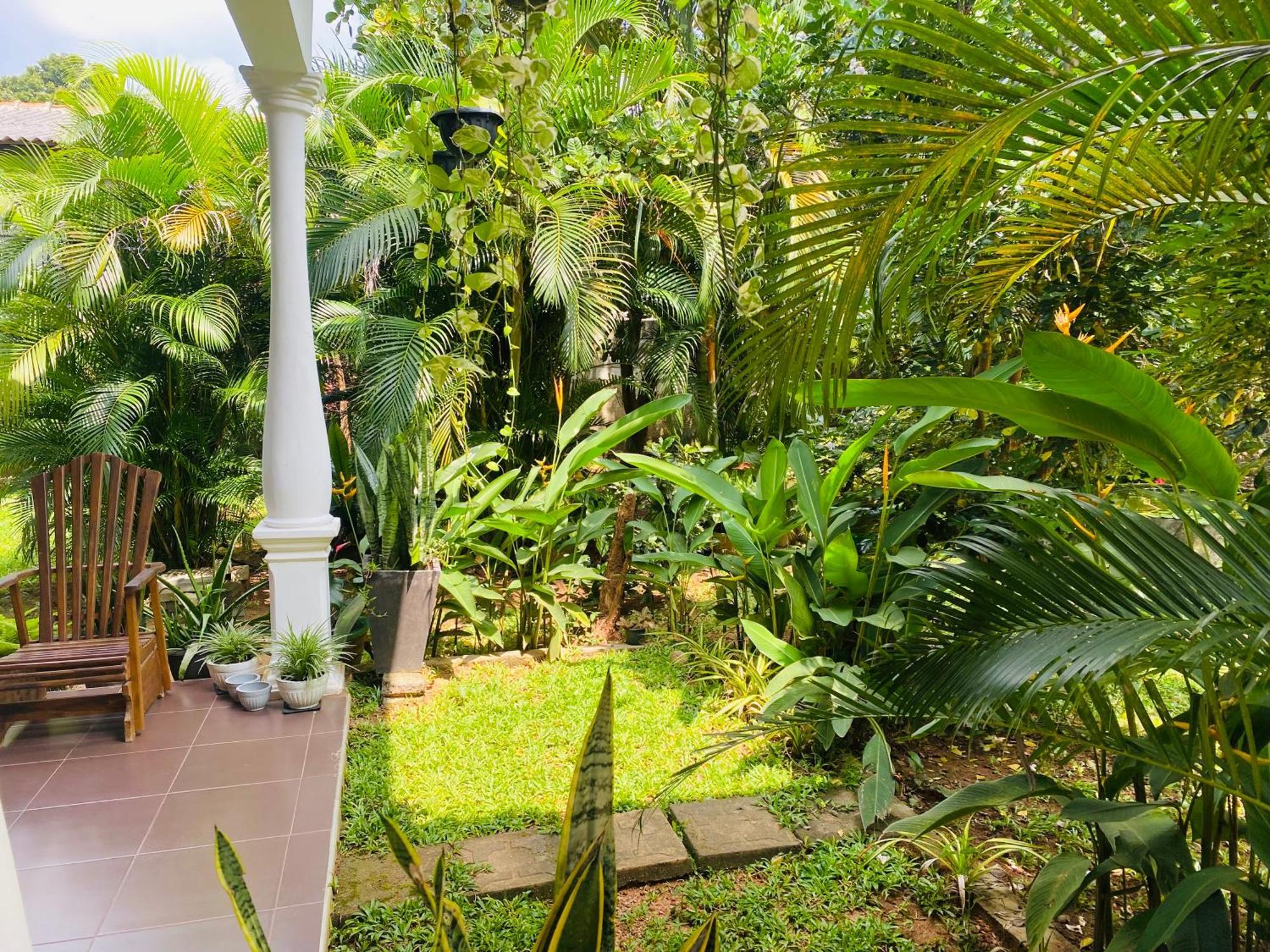 Fairview Dill Homestay Sigirija Zewnętrze zdjęcie